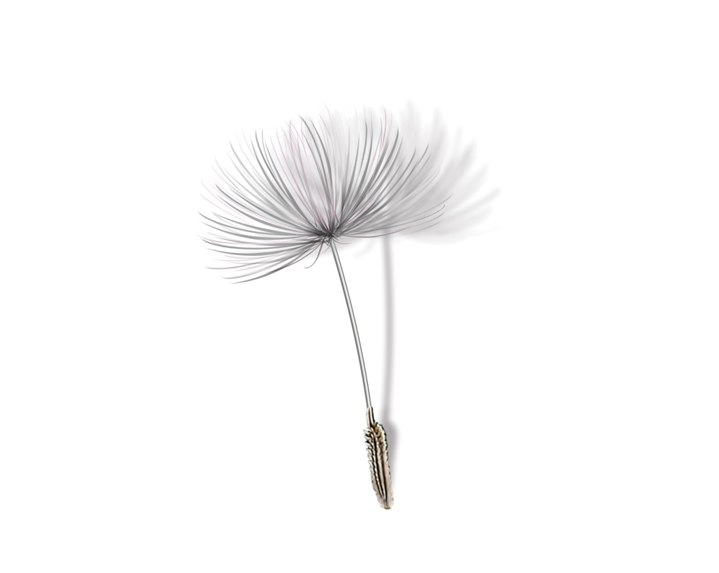 tonstudio_muenchen_westpark_7_fluegel_x